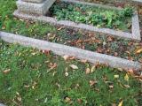 image of grave number 539197